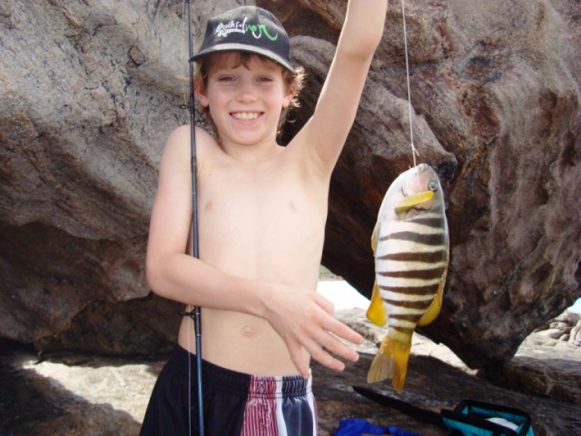 mason castle rock new years day